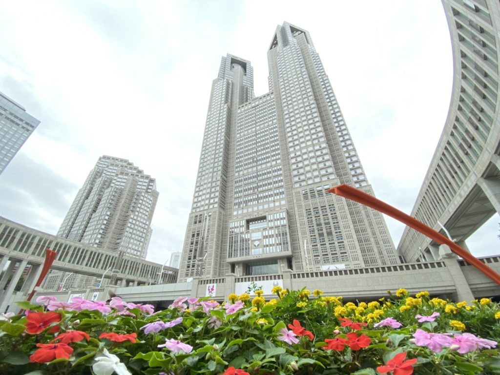 都庁と花壇を iPhone 11 Pro で撮影（ズーム0.5倍）