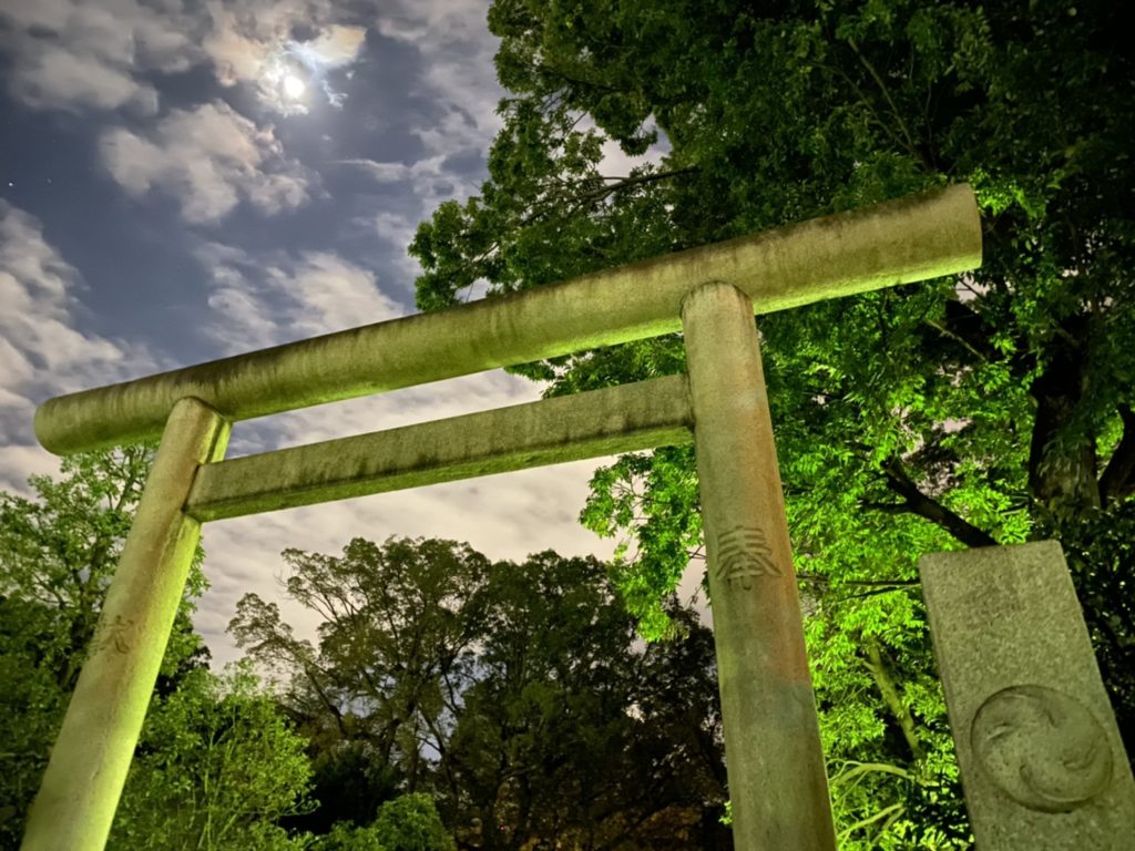 深夜の根津神社（西口）を iPhone 11 Pro で撮影（ズーム1.0倍）